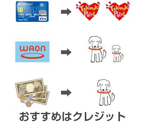 イオングループの店舗や加盟店で利用するとポイントがつくイオンカード・電子マネーWAON・現金
